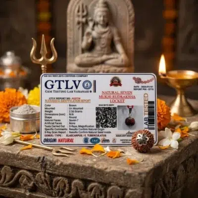 7 Mukhi Rudraksha