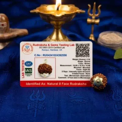 8 Mukhi Rudraksha